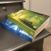 zielone drzwi, zagubione niebo, katarzyna grochola