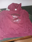 Bluza Harry Potter, oryginalna bluza Hagward, Bluza z kapturem 