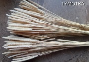 tymotka  trawa suszona naturalna ozdobna na palmy 