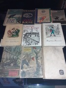 Zestaw książek młodzieżowe 5