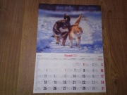 Kalendarz ścienny z kotami koty zwierzęta 2022