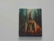 PS4: Far Cry Primal ( steelbook )