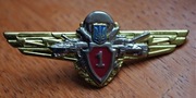 Odznaka Specjalista 1 Klasy - Ukraina nr.056