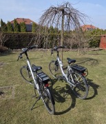 Rower TREK ze wspomaganiem elektrycznym: damski i/lub męski