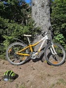 Rower dziecięcy trekkingowy Spezialized Hotrock Shimano 24"