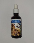 Aromat funky flavors sweet piegooski