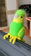 Papuga amigurumi szydełkowa 