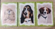 Zestaw 3 Kartki psy Baset Cocker Spaniel Kooikerhondje
