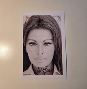 Zdjęcie z org. Autografem Sophie Loren | Sophia Loren - orginalny Autograf