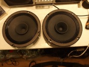 Szerokopasmowe RCF szt2