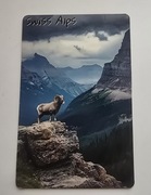 Magnes na lodówkę ALPY Szwajcaria Swiss Alps Raj na Ziemi (34).