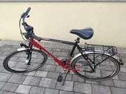 Rower treningowy Winora 