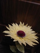 Słonecznik Duży z bibuły