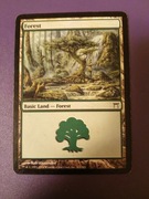 Forest (Champions of Kamigawa - Magic the Gathering)