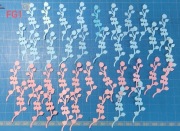 SCRAPKI KRAKÓW Gałązki różowe niebiesksie 40 szt. BOY GIRL (FG1)