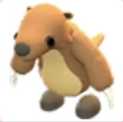 Ground Sloth - Adopt Me Roblox