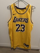 Koszulka Nike Los Angeles Lakers LEBRON JAMES Icon Edition