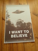 plakat na płótnie z filmu z archiwum x i want to belive