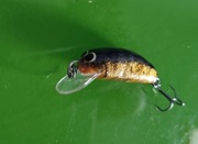 Wobler VANY na Kleń Jaź Okoń Szczupak itp. Sprawdzony Kiler ok.4cm 3g