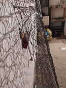 Formatka sprężynowa bonell  197x153x10 cm.