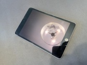 iPad Mini 64gb A2133