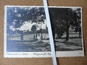 Bierutów - Bernstadt pow. Oleśnica b2