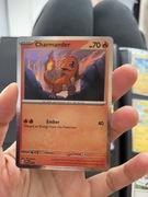 Charmander SVP 047