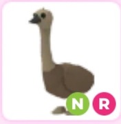 Neon ride emu adopt me roblox pet