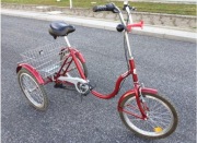 Rower 3-kołowy TOLEK 20''