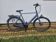 Batavus Mambo  ( Gazelle )