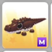 Adopt me Cocoadile M / Mega Roblox