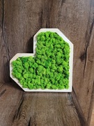 Obraz chrobotek serce na Walentynki 30 cm 