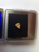 Samorodek złota 1,90 grama.  Złoto rodzime.  