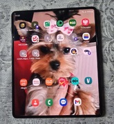 Samsung Galaxy Z Fold 3