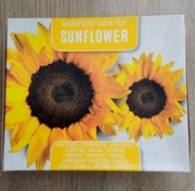 Mini zestaw do uprawy roślin słoniecznik