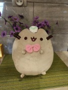 Pusheen lodziarz unikat rzadki 