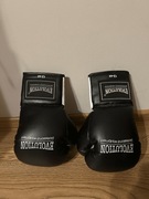 RĘKAWICE BOKSERSKIE SPARINGOWE EVOLUTION 12 OZ