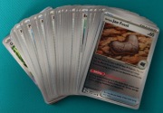 Zestaw 52 Oryginalnych kart Pokemon Trenerów z setu Perfect Order