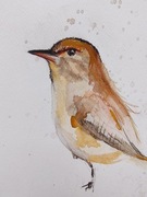 AKWARELA - Small Bird 0- ORYGINAŁ RĘCZNIE MALOWANY