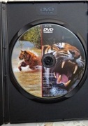 FILM DVD TYGRYSY WŁADCY MOKRADEŁ Natural Killers