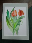 Akwarela tulipany