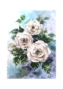 Obraz plakat akwarele róże 30x40