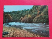 BIESZCZADY      -  Pocztówka  /  WISŁOK 