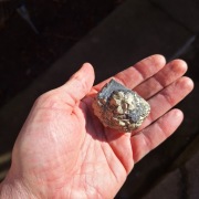 Piryt konkrecja pirytowa z Gór Kaczawskich