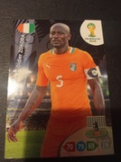 WORLD CUP 2014 ZOKORA 99