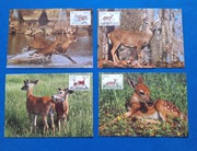 Zestaw 4 szt. widokówka widokówki WWF Antyle Holenderskie Jeleń