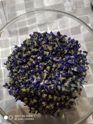 Fiołek wonny kwiat suszony 20 g