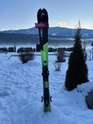 Narty head v-shape 137