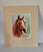 Akwarele, głowa konia, rok 1999