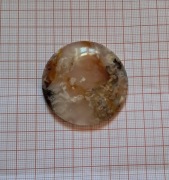 Ogłoszenie Sprzedażowe: Unikatowy Kaboszon Agatu